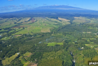 Discover Hawaii Beyond Palm Trees and Beaches: Culture & Hidden Gems