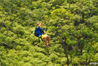 Zip Through Orlando’s TreeTrek Adventure Park: Zipline & Aerial Trails