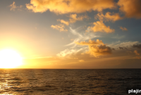 Natural Healing and Spa Retreats at Jean-Michel Cousteau Resort, Fiji