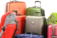 Survey Reveals Growing Demand for Leisure and Business Travel