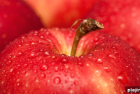 Apple-Themed Menu at Pomze Paris: Tartes, Ciders & More