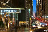 Putting Business First: Strategies to Grow Your Company Fast