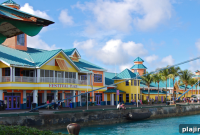 Discover Bahamas Beyond Beaches: Top Activities & Hidden Gems