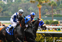 Horseback Riding and Beach Trails in Sunny Del Mar, California