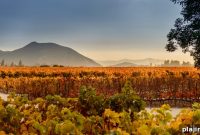 Design Your Own Adventure Tour in Santiago, Chile