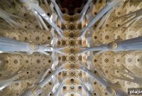 Top 5 Ways to Experience Art in Barcelona
