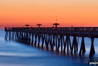 Top 5 Beaches to Visit in North Florida