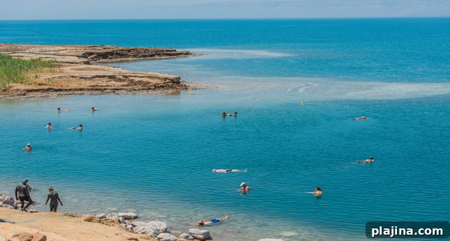 featured 52053