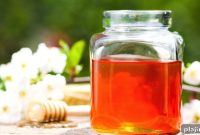 Omni’s Honey-Inspired Cocktails That Sting with Flavor