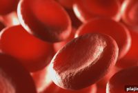 QuikClot Hemostatic Dressings and Bleeding Control Devices