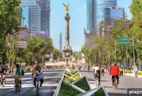 Mexico City Food Tours for Business Travelers