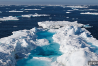 Sail the Northwest Passage with Margaret Atwood: A Literary Voyage