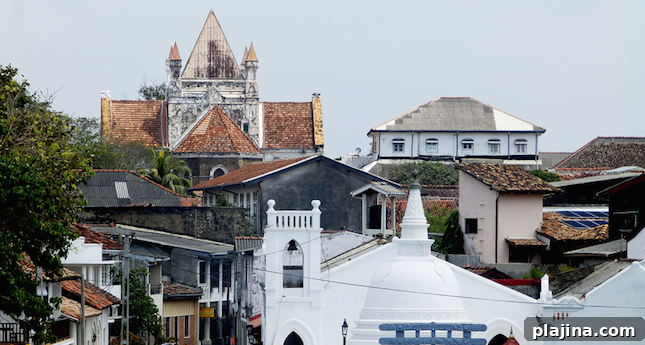 featured 54164