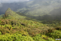 Nature-Inspired Wellness Retreats in Puerto Rico: Forest, Beach & Spa Escapes