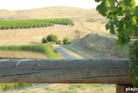 Hedges Family Estate Washington: Visiting Guide & Wine Tasting Tips
