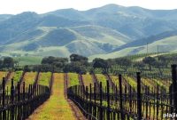 New Vineyard Resort Opening in Paso Robles Wine Country