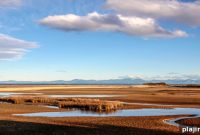 New Zealand and Hawaiian Adventure: Ultimate Travel Itinerary