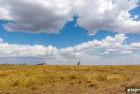New Direct Flights Make Visiting Angama Mara Faster and Simpler