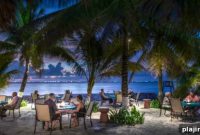 Cozumel After Dark: Nightlife, Bars & Late-Night Fun