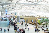 Incheon Airport Updates: Terminal News, Flights & Travel Tips