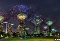 Explore Singapore’s Iconic Supertrees at Gardens by the Bay