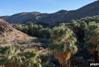 Renaissance Indian Wells Resort & Spa Launches NoSnowHere Getaway Package