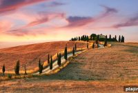 Savor Seattle Food Tours Launch Italian Culinary Trips