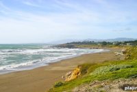 Elephant Seals and Wine Tasting in Cambria, California