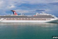 Carnival Commits to 100% Cage-Free Eggs for Its Fleet