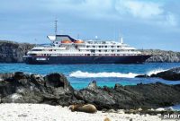 Unique Shore Excursions for Cruise Travelers: Top Picks and Tips