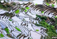 Top 5 Unforgettable Experiences to Have in the Philippines