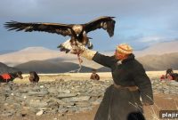 Ethical Traveler Reveals 2026 Ethical Destinations Winners
