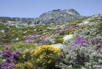 Explore Portugal’s Wild Side: Top Nature Adventures and Parks