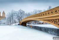 7 Most Picturesque Spots in Central Park You Must See