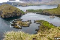 Wild Planet Adventures Announces New Guided Wildlife Trips