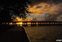 Sunshine & Charm: Discover Florida’s Southwest Coast Attractions