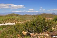 California Adds Three New National Monuments: What to Know and Visit