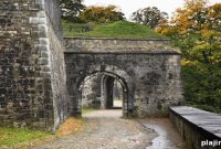 Strawberry & Flower Museums to Visit in Belgium