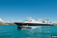 Silversea Cruises: Top Scuba Diving Destinations to Explore