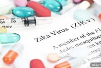 Zika Virus Testing for Travelers: Where and How to Get Tested