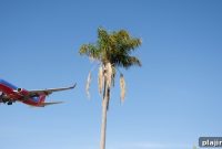 Southwest Airlines Announces New Domestic and International Routes
