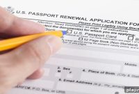 Renewed Passports Fast: New App Streamlines Renewal Process