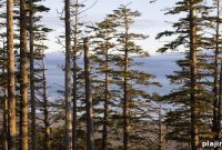 Explore Ancient Civilizations on Outer Shores Expeditions