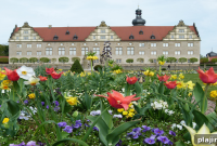 Southwest Germany Garden Year: Seasonal Tips & Top Destinations