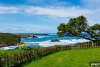 Springtime Outdoor Adventures in Mendocino County: Hikes, Beaches & Wine