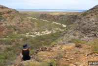 Whale Sharks Return to Ningaloo Reef, Western Australia – When to See Them