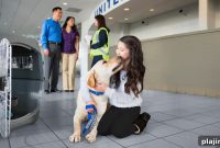 Win a Free Trip with United PetSafe — Enter Today