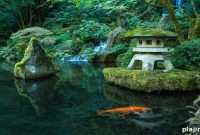 Portland Japanese Garden Reopens: What to See and Visitor Tips