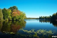 Eco-Friendly Hotels: Sustainable Stays for Conscious Travelers