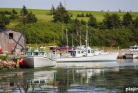 Prince Edward Island Food Guide: Top Dishes, Restaurants & Tips